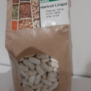 Haricots lingot - haricots-lingot